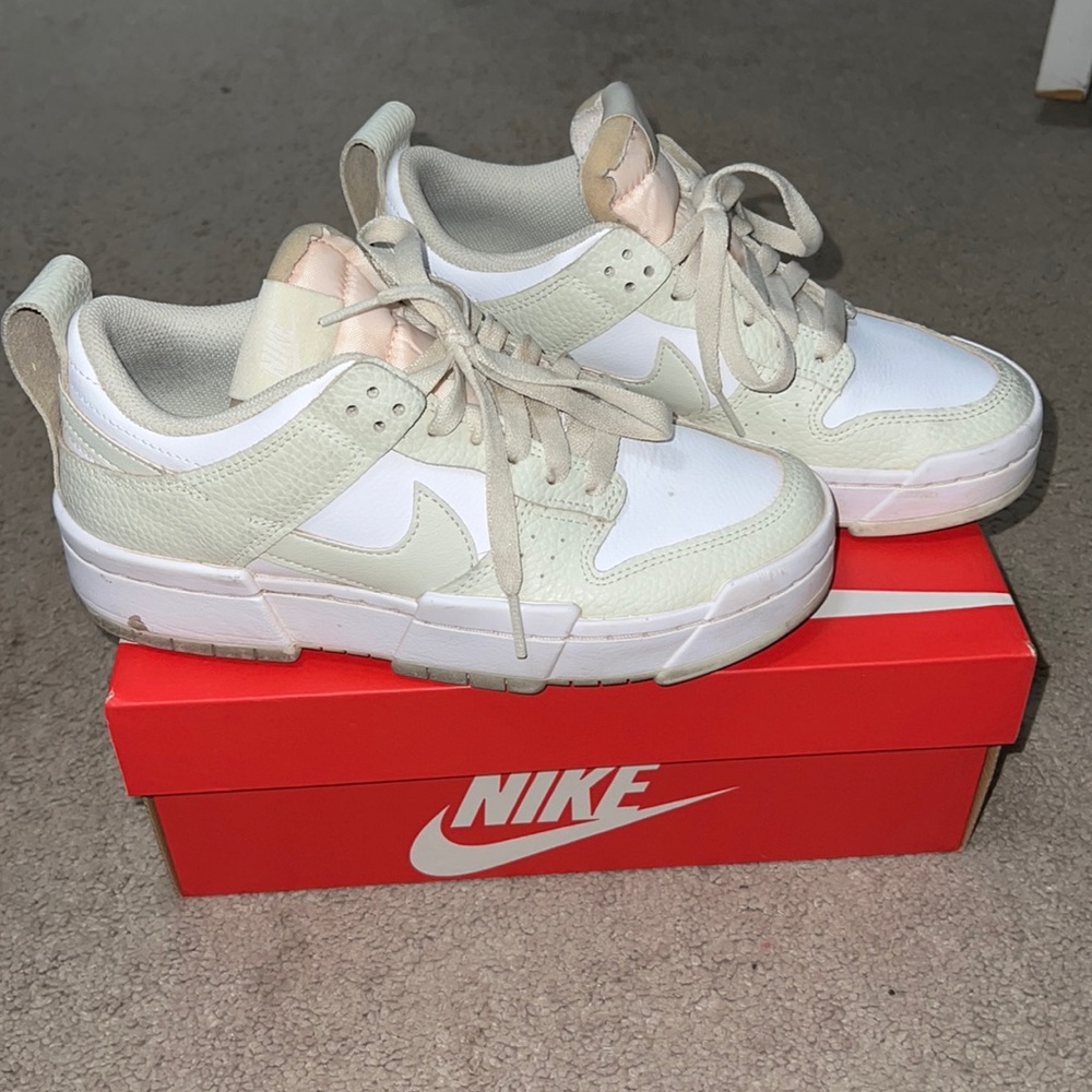 Nike Dunk Low Disrupt